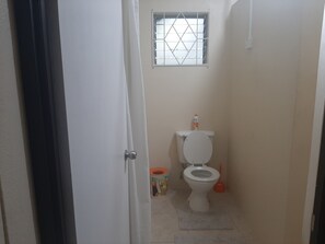 Shower, towels, soap, toilet paper