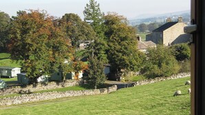 Un paysage rural avec un mur de pierres, des champs verdoyants et des moutons qui paissent.