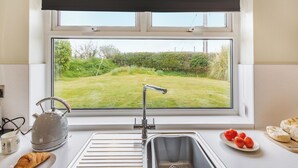 A kitchen with a window, sink, kettle, and a plate of tomatoes.