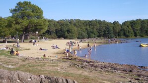 Una spiaggia con persone che prendono il sole e nuotano, circondata da alberi e un cielo sereno.