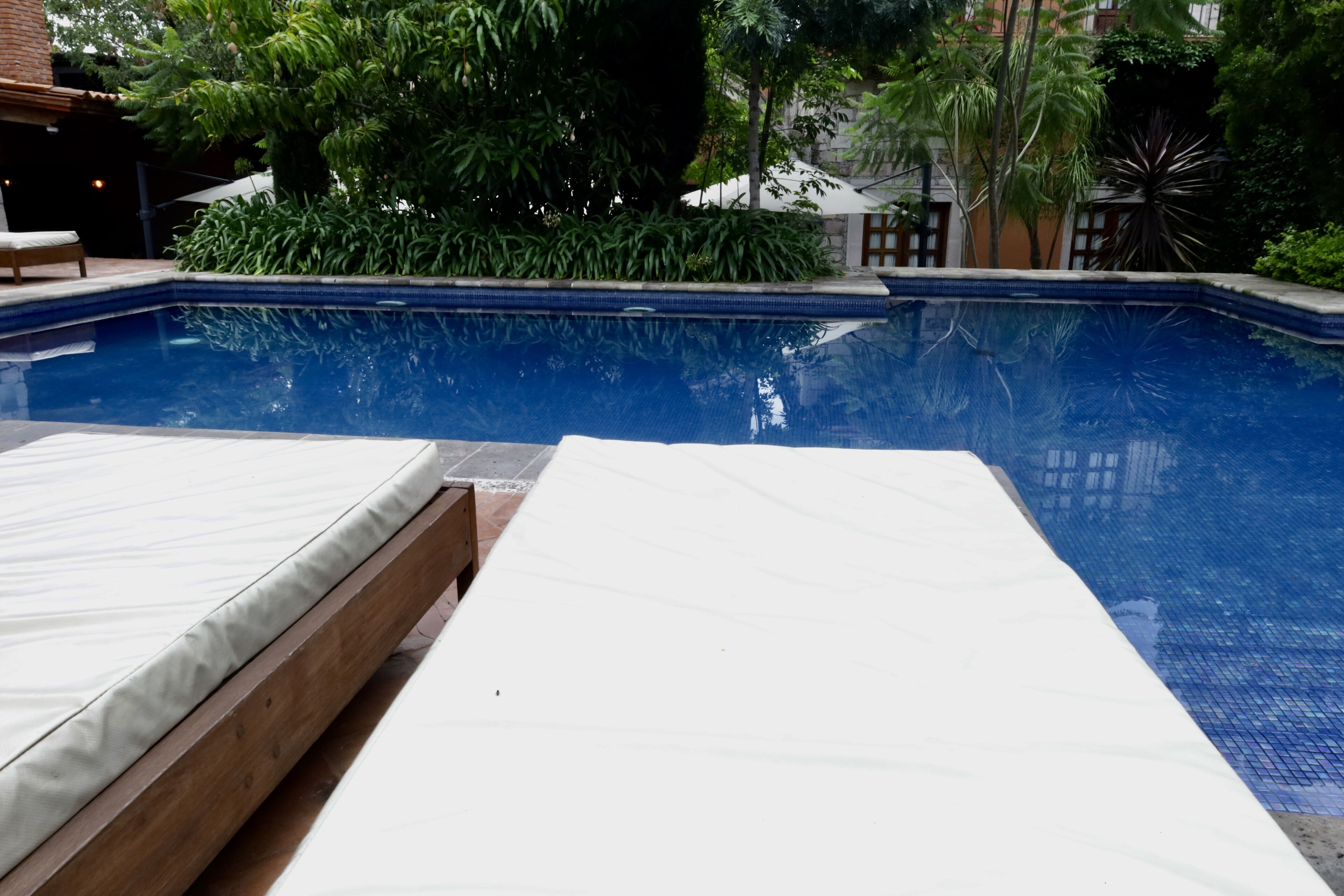 A swimming pool with lounge chairs and greenery around.