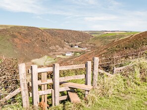 Property grounds - Robin's Nest Bungalow - UK39619 (Welcombe, near Hartland)