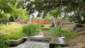 Un petit ruisseau coule sur un seuil en béton, dans une zone herbeuse bordée d’arbres, avec une clôture en bois en arrière-plan.