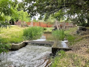 المنطقة المحيطة بالمنشأة