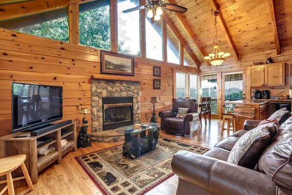 TV, fireplace, DVD player, offices