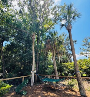 Property grounds - Luxurious169 Jacana w/Gourmet Kitchen- steps to beach and bike path Spa Elevator (Hilton Head Island)