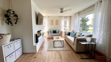 Smart TV, fireplace, books