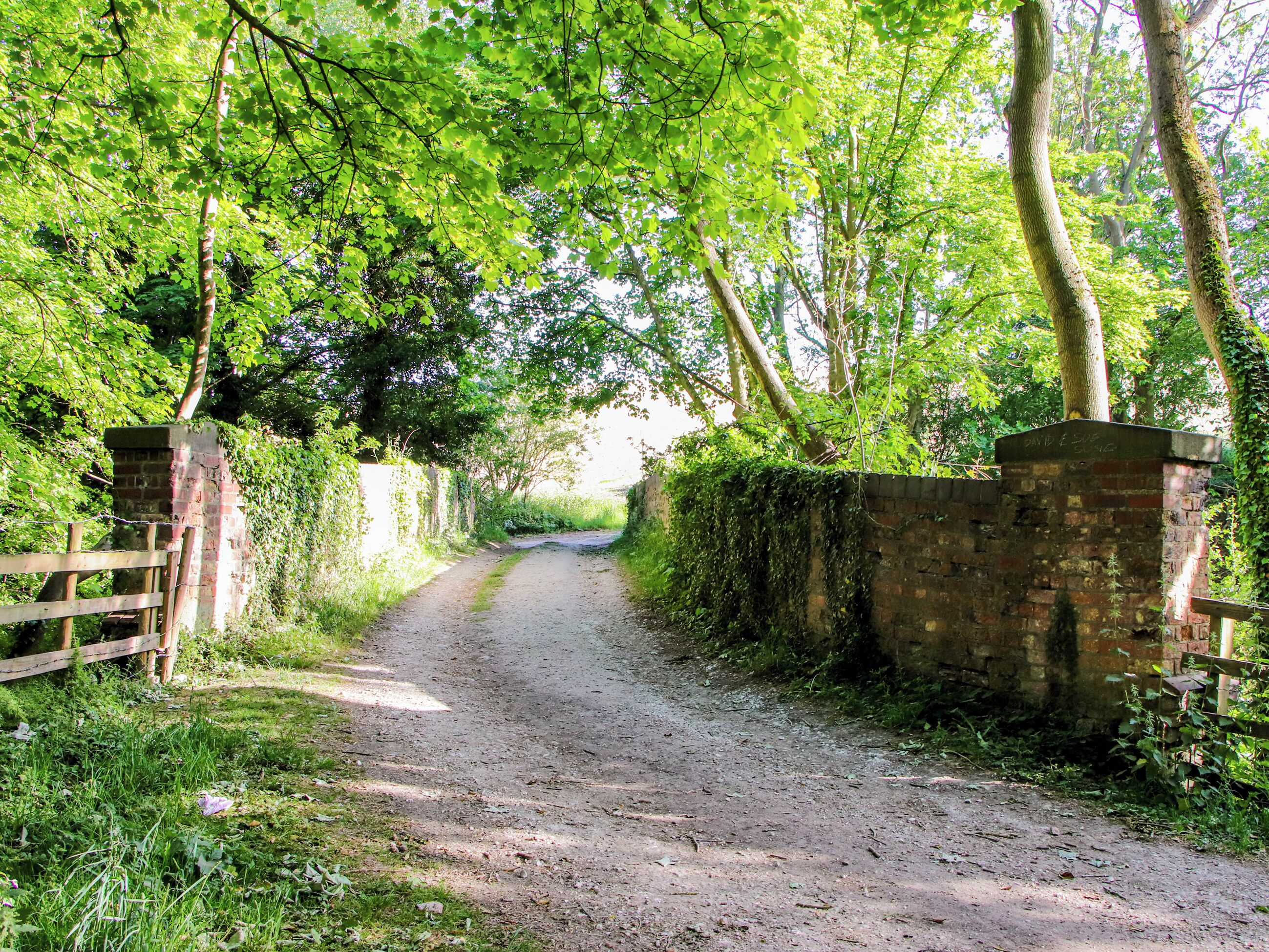 Un chemin de terre bordé de murs de briques et de portails en bois, qui traverse une zone verdoyante et luxuriante.