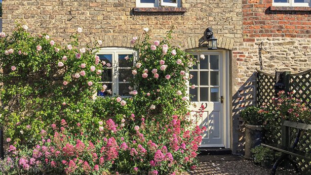 A stone building with a white door and windows, surrounded by flowering plants.