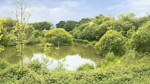 Eine friedliche Seenlandschaft mit üppiger Vegetation und Bäumen, die sich im Wasser spiegeln.