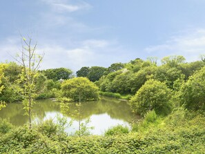 A serene lakeside scene with dense greenery and trees reflecting on the water.