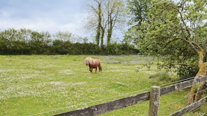 Ein Feld mit Holzzaun und einem Pferd.