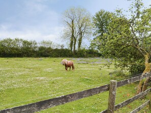Un campo con una cerca de madera y un caballo.