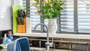 Une cuisine avec un évier, un vase contenant des plantes vertes et une fenêtre avec des stores.