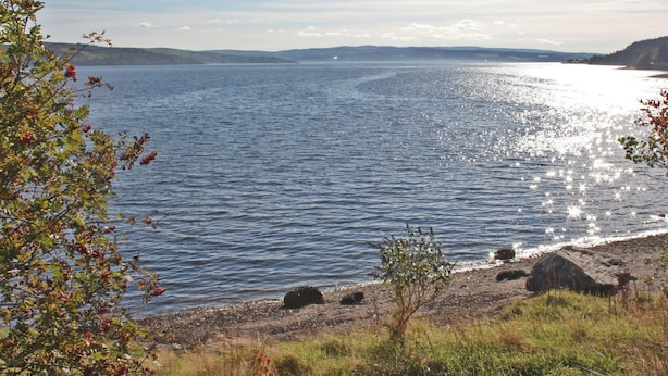 A lake with a rocky shoreline and sparse vegetation. - Detached cottage on the banks of Loch Long and the Firth of Clyde near Dunoon. (Ardentinny, Dunoon)
