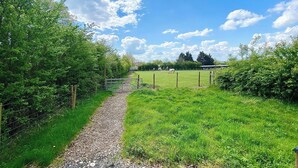 Un sentier rural qui mène à un champ verdoyant, bordé d’une clôture et d’arbres d’un côté.
