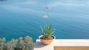 Ein Blumentopf mit zwei Blüten auf einem Balkon mit Blick auf ein ruhiges Meer.