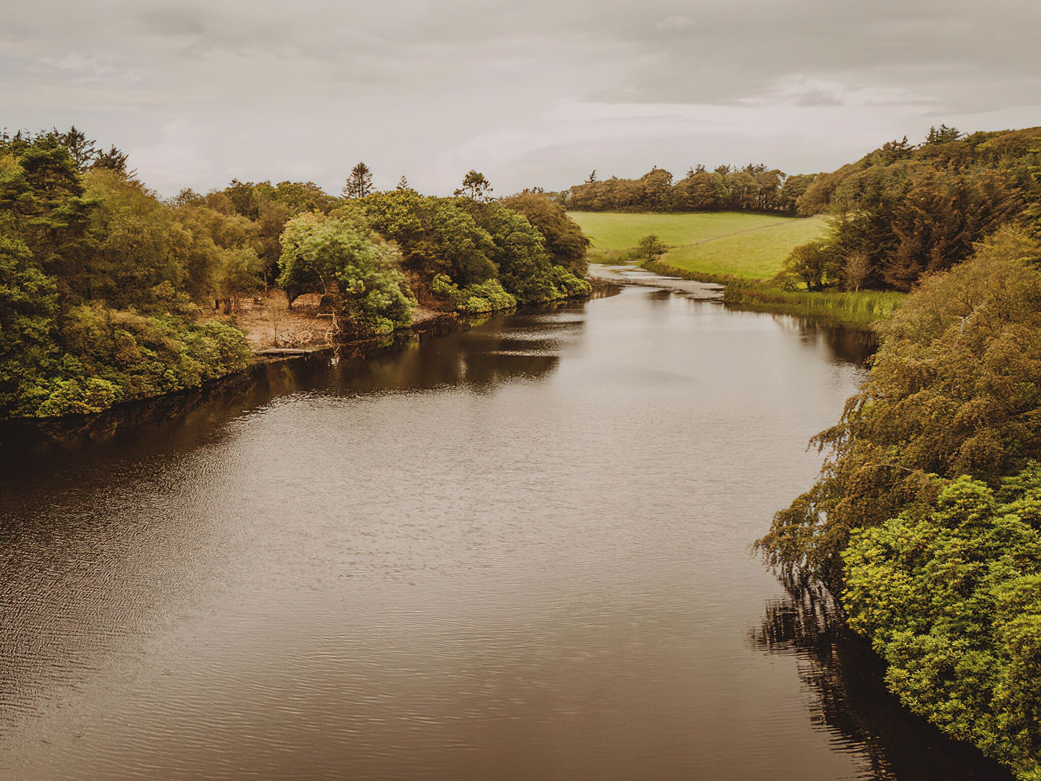A river surrounded by dense greenery and trees.