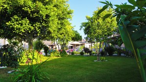 Un jardín bien cuidado con diversas plantas y árboles, un cielo despejado y un edificio al fondo.