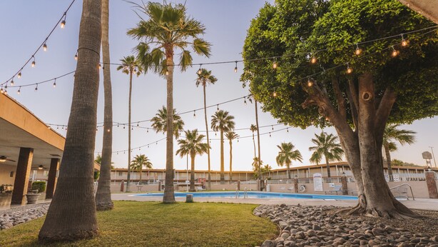 A pool area with palm trees, string lights, and a building in the background.