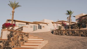 A building with a stone staircase leading to a door, surrounded by palm trees and flowers.