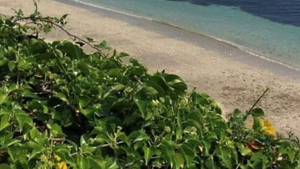 Una playa con agua cristalina, un velero a lo lejos y gente nadando.