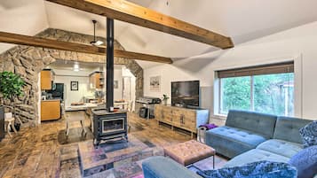 TV, fireplace, books, video library