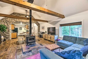 TV, fireplace, books, video library