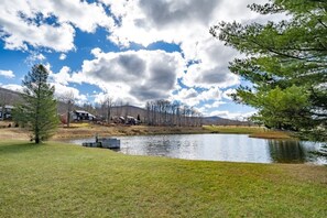 Miscellaneous - Wild Turkey - 81 Woods End Court (Davis)