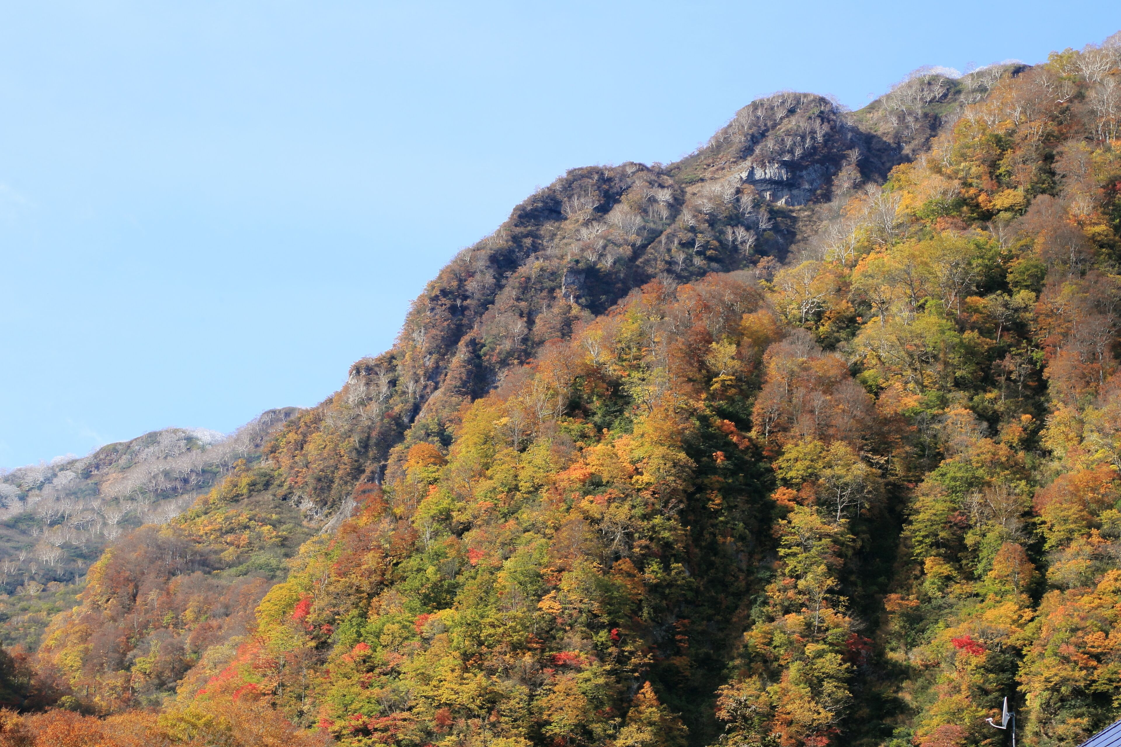 舒适客房 | 客房景观