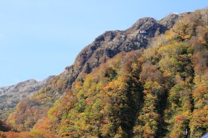 Comfort Room | View from room