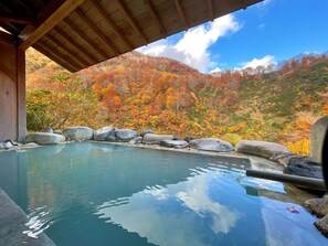 Hot springs - Hitou Hanabun (Myoko)