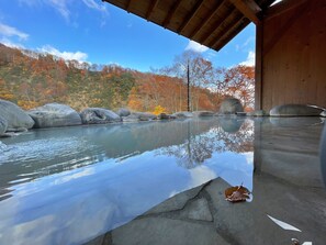 Hot springs - Hitou Hanabun (Myoko)