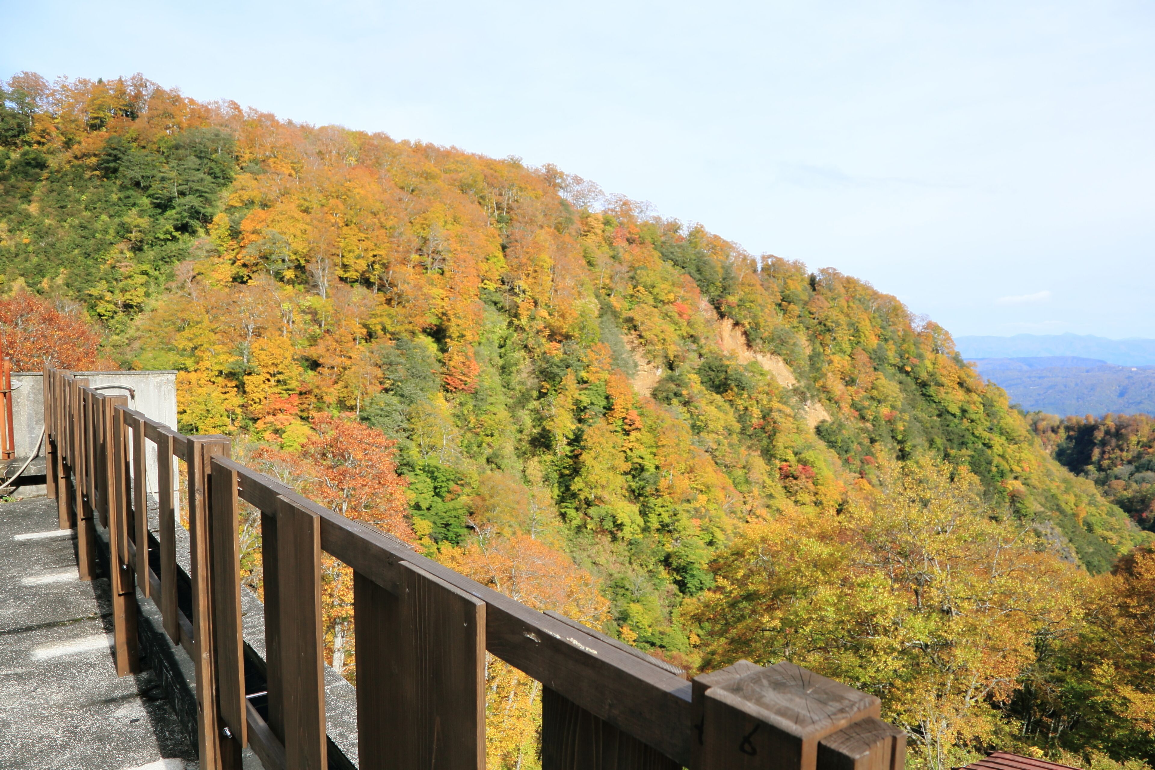 A wooden observation deck overlooking a forested hillside with autumn foliage.