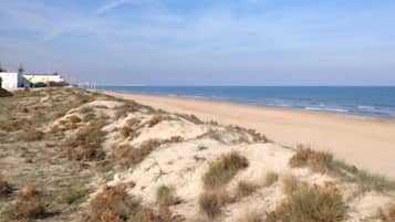Playa en los alrededores