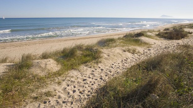 Une plage de sable avec des vagues, des dunes herbeuses et une montagne qui se profile à l’horizon.