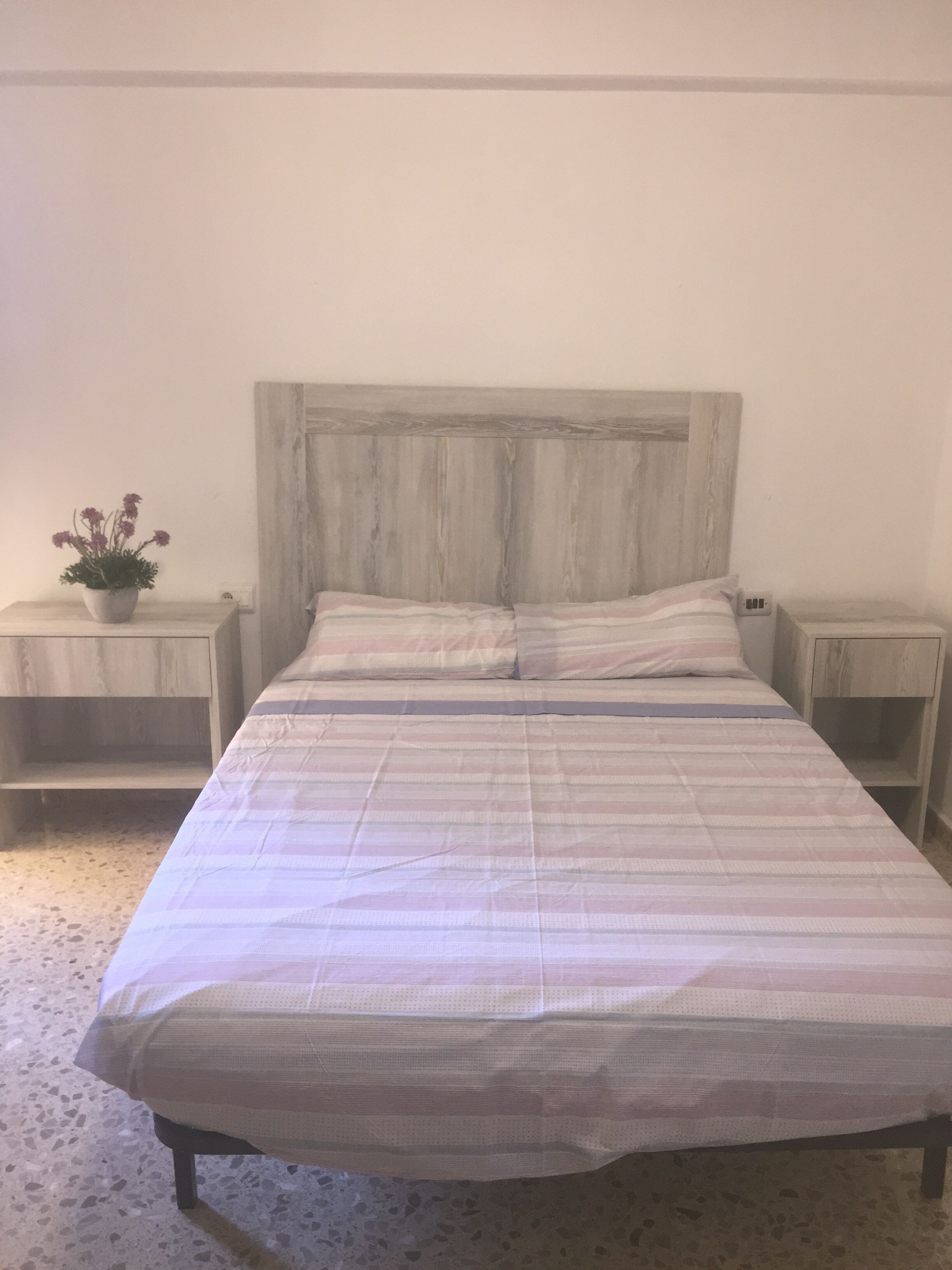 A bed with a striped bedspread, two nightstands, and a potted plant on the left nightstand.