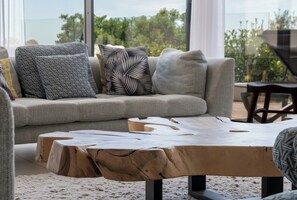 TV, books, stereo - Architect-Designed House, Heated Pool and Sea View (Mandelieu-la-Napoule)