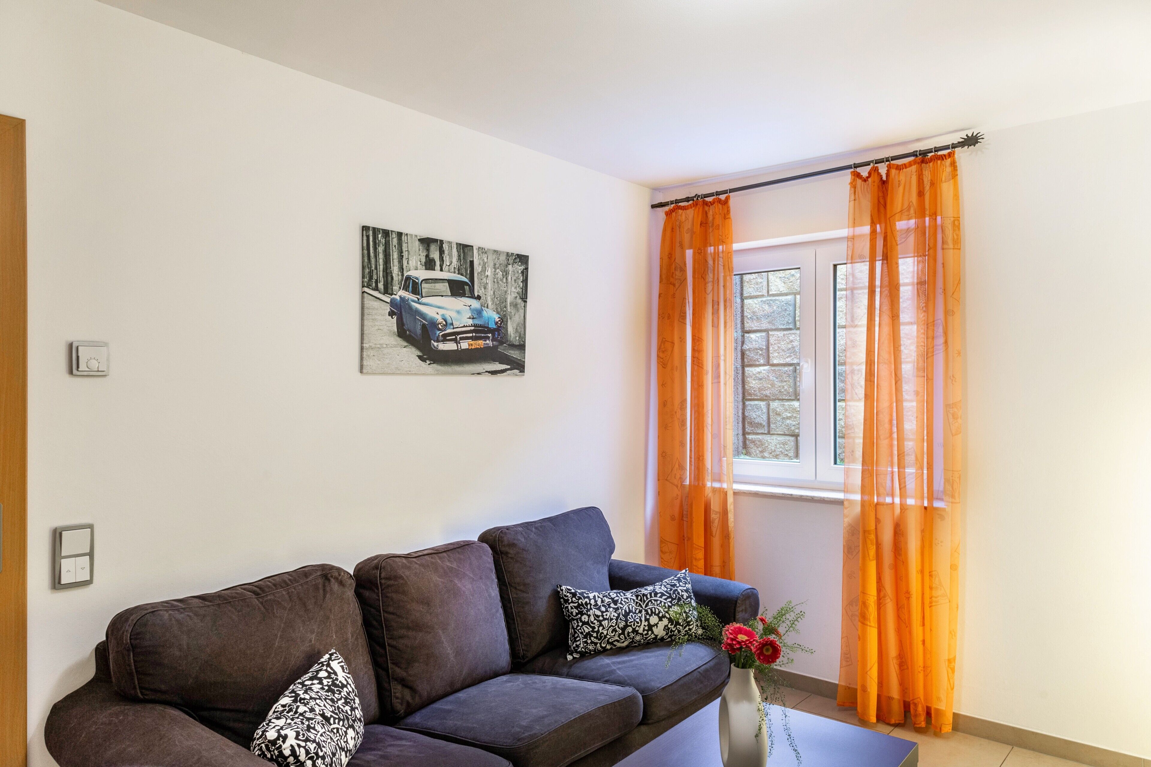 电视、DVD 播放器、立体声音响