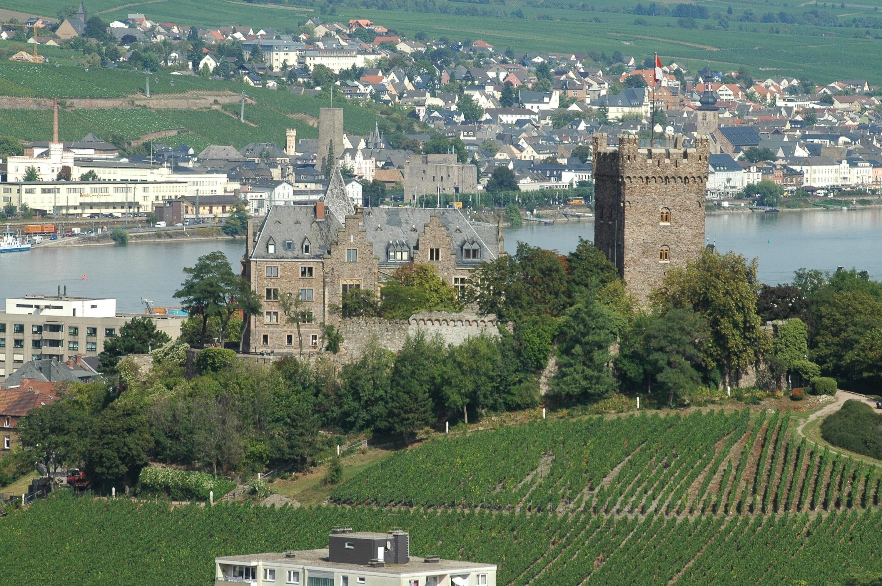 A historic castle with a tower, surrounded by vineyards and a town by a river.