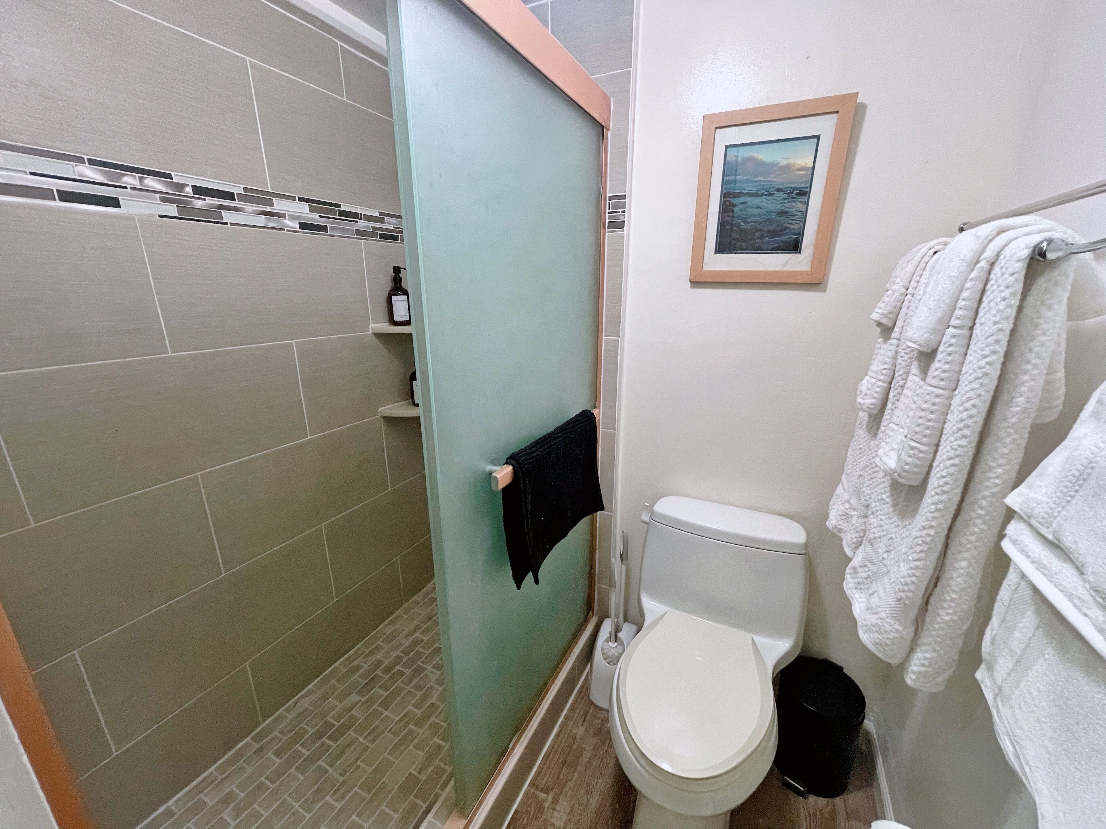 Shower, hair dryer, towels, shampoo