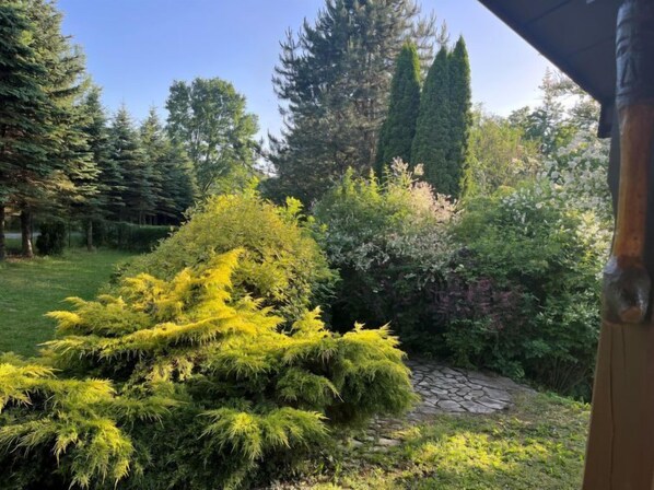 A garden with a stone pathway, various shrubs, and tall trees.
