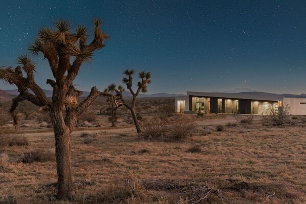 A modern house with a desert landscape, including Joshua trees, under a starry night sky.