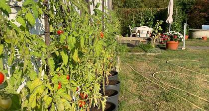 Familienfreundliche ReetdachhaushÀlfte im Wendland