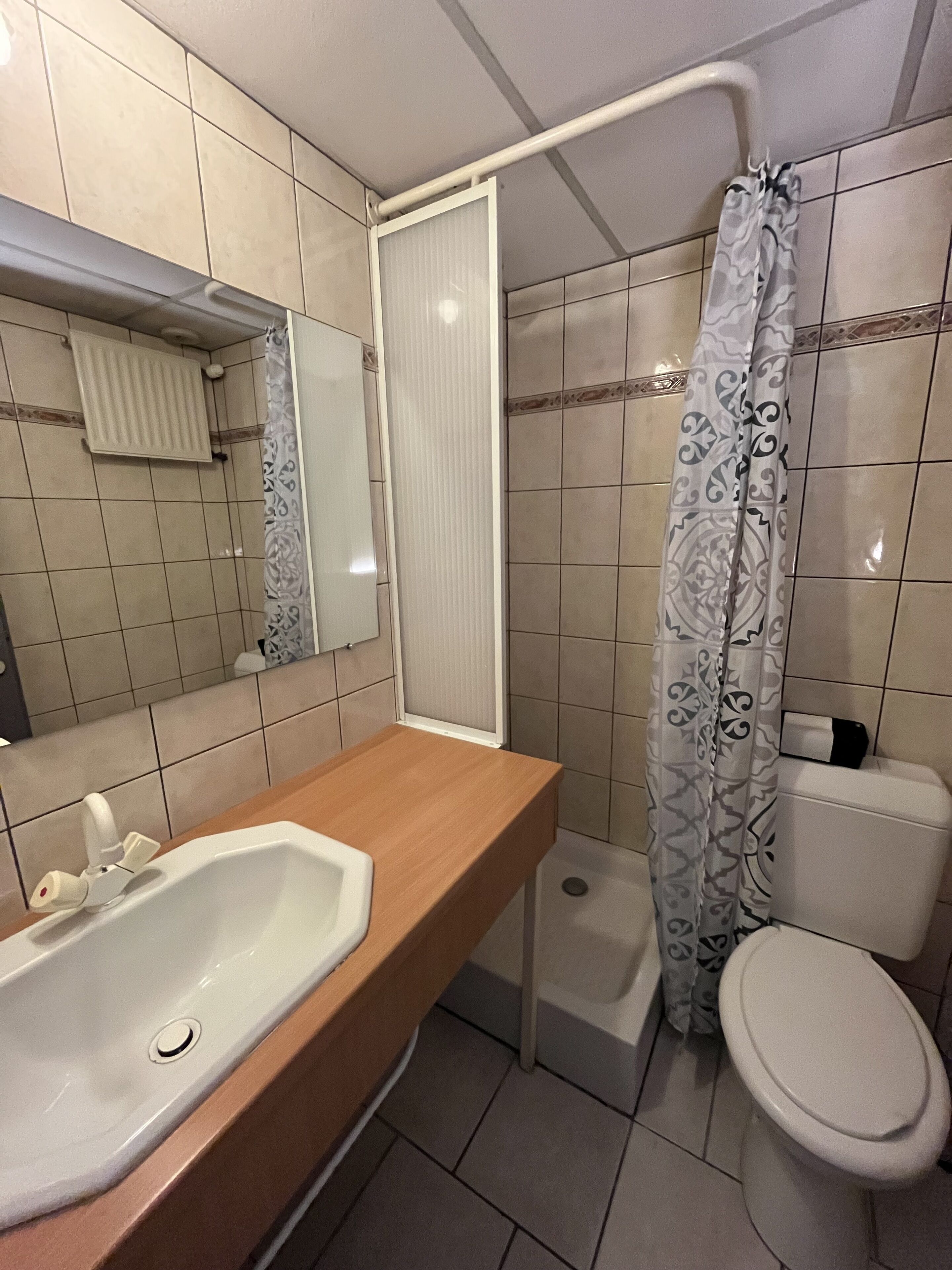 A bathroom with a sink, toilet, shower, and a mirror.
