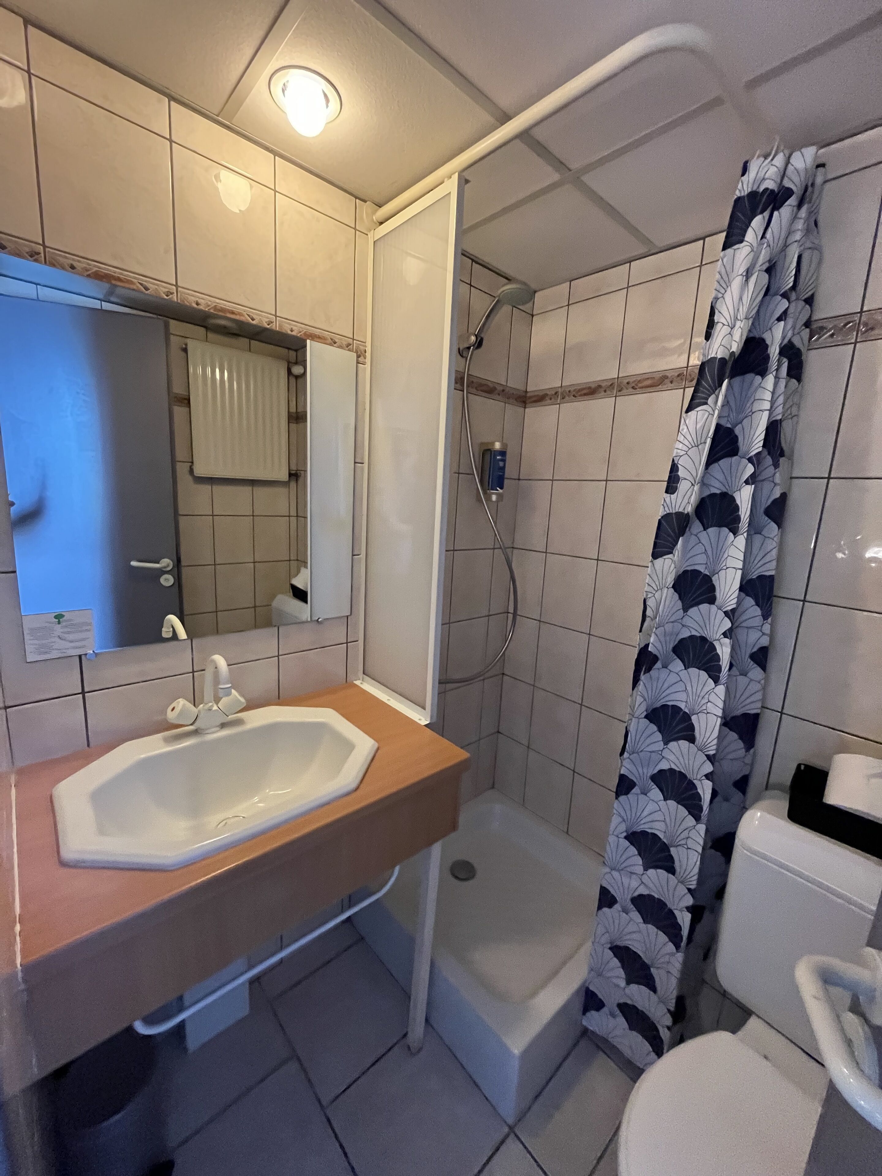 Une salle de bain équipée d’un lavabo, d’un miroir, d’une douche et de toilettes.