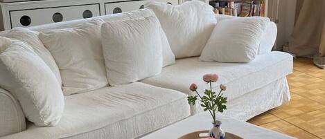 Smart TV, libros y estéreo