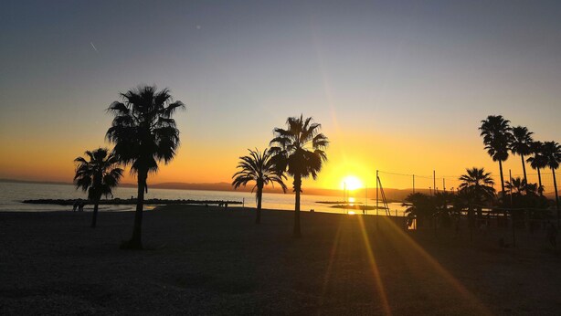 A beach at sunset with palm trees and a volleyball net.