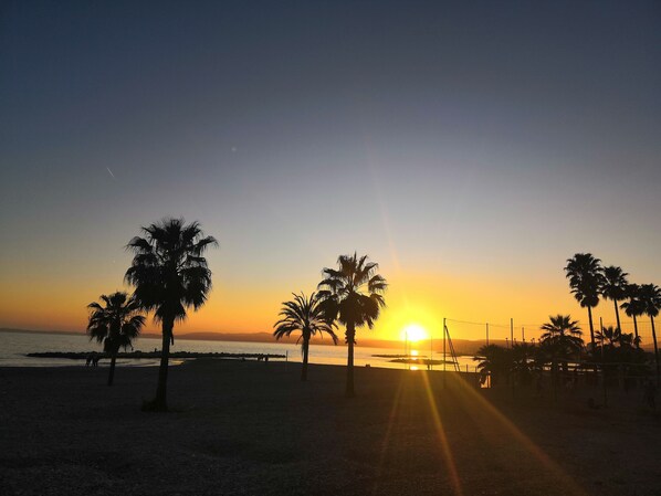 بالقرب من الشاطئ