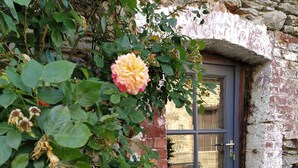 Un bâtiment rustique en pierre, doté d’une porte en bois et agrémenté d’un rosier devant l’entrée.
